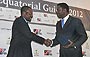 AES wins company of the year award 2012